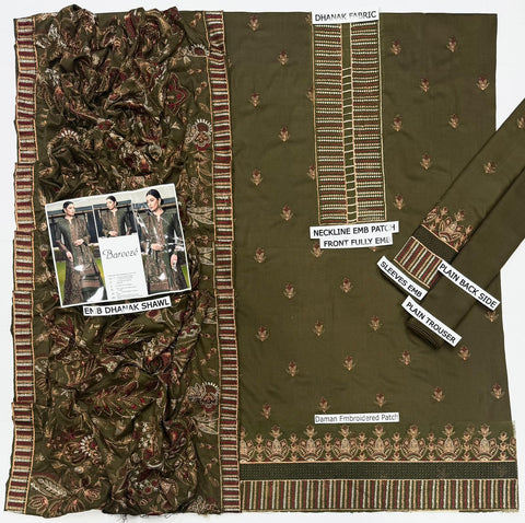 Bareez'e Winter Dhanak - Model in olive green suit
